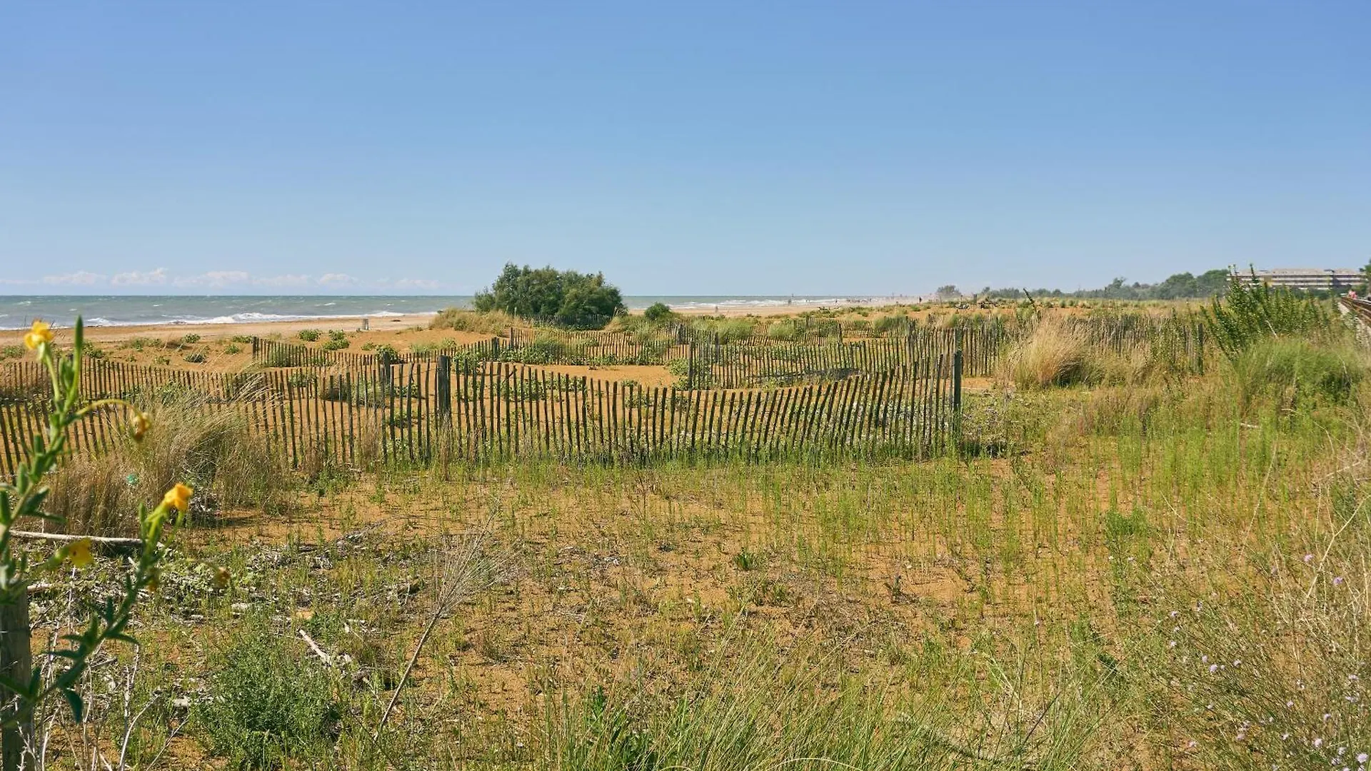 Bright Studio By The Beach - Beahost Bibione